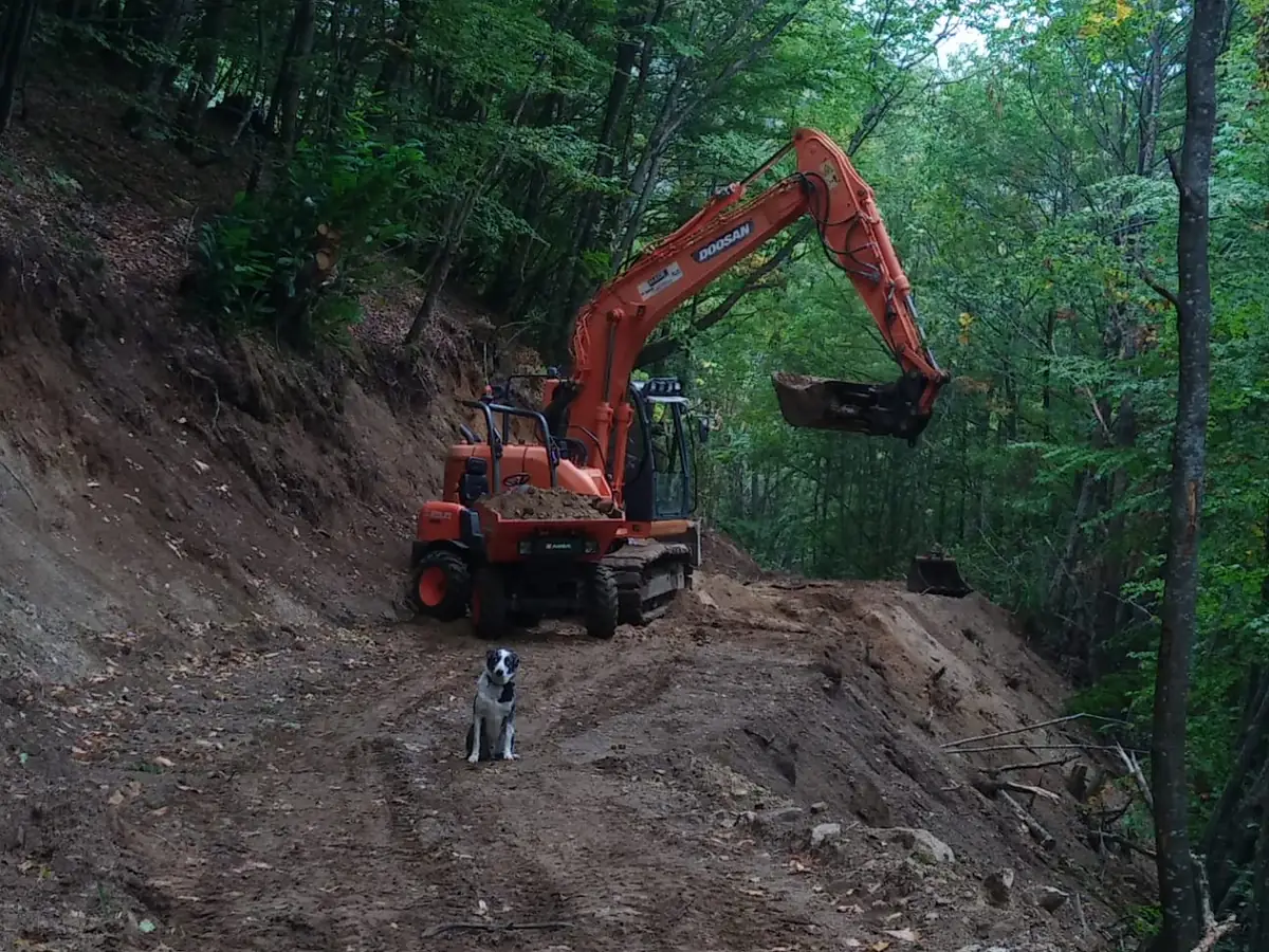 Création de piste forestière avec pelle Doosan