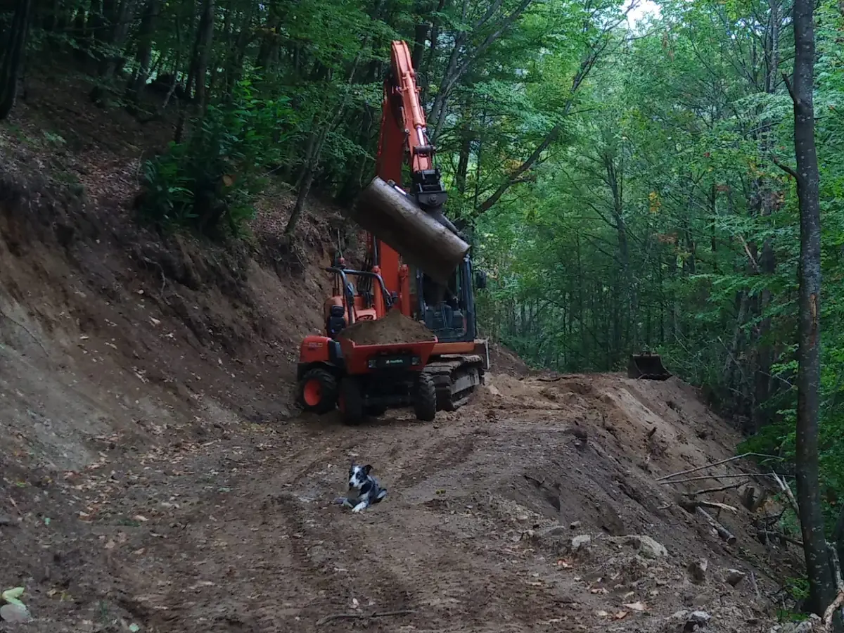 Travaux forestiers avec pelle Doosan dans le Tarn