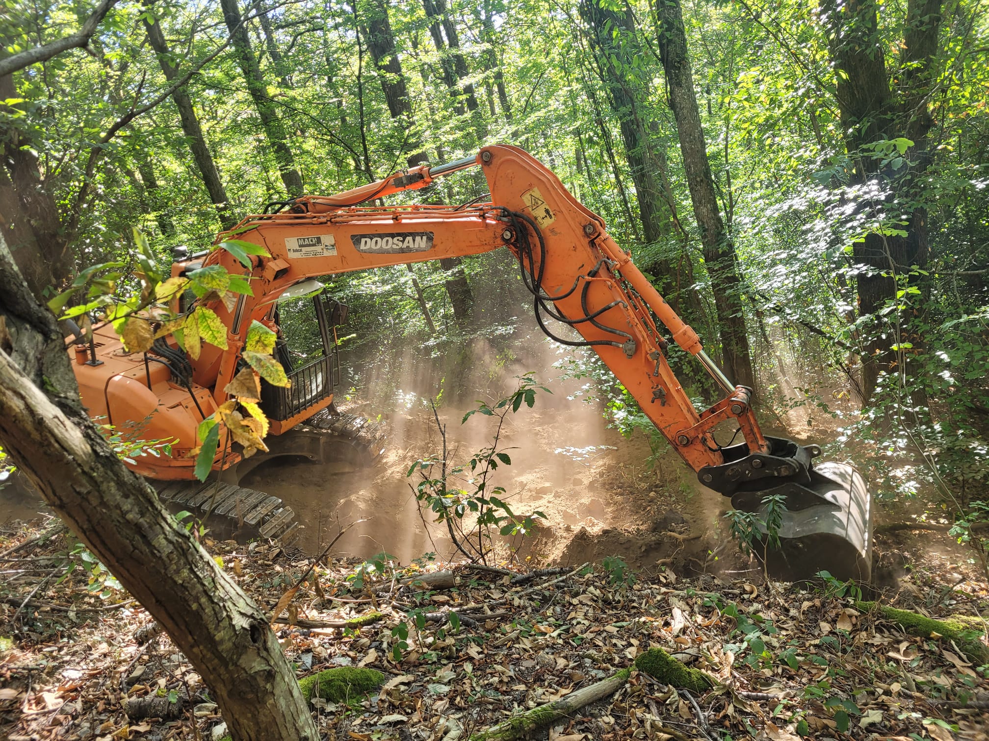 Travaux forestiers avec pelle Doosan dans le Tarn